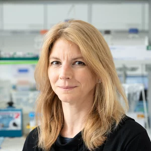 Dr. Sandra Schmitz