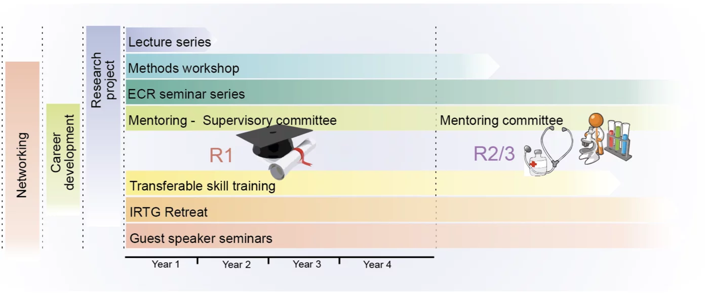 Information graphic showing details and content of the IRTG programme
