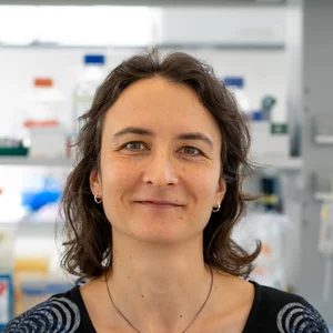 Dr. Birgit Ritter