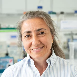Prof. Dr. Canan Arkan